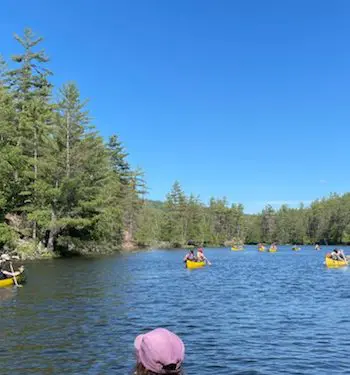 people canoeing on a lake