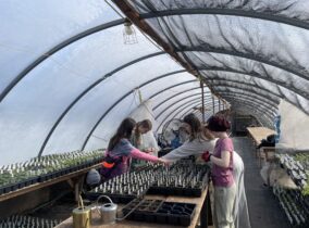 The Land as the Classroom